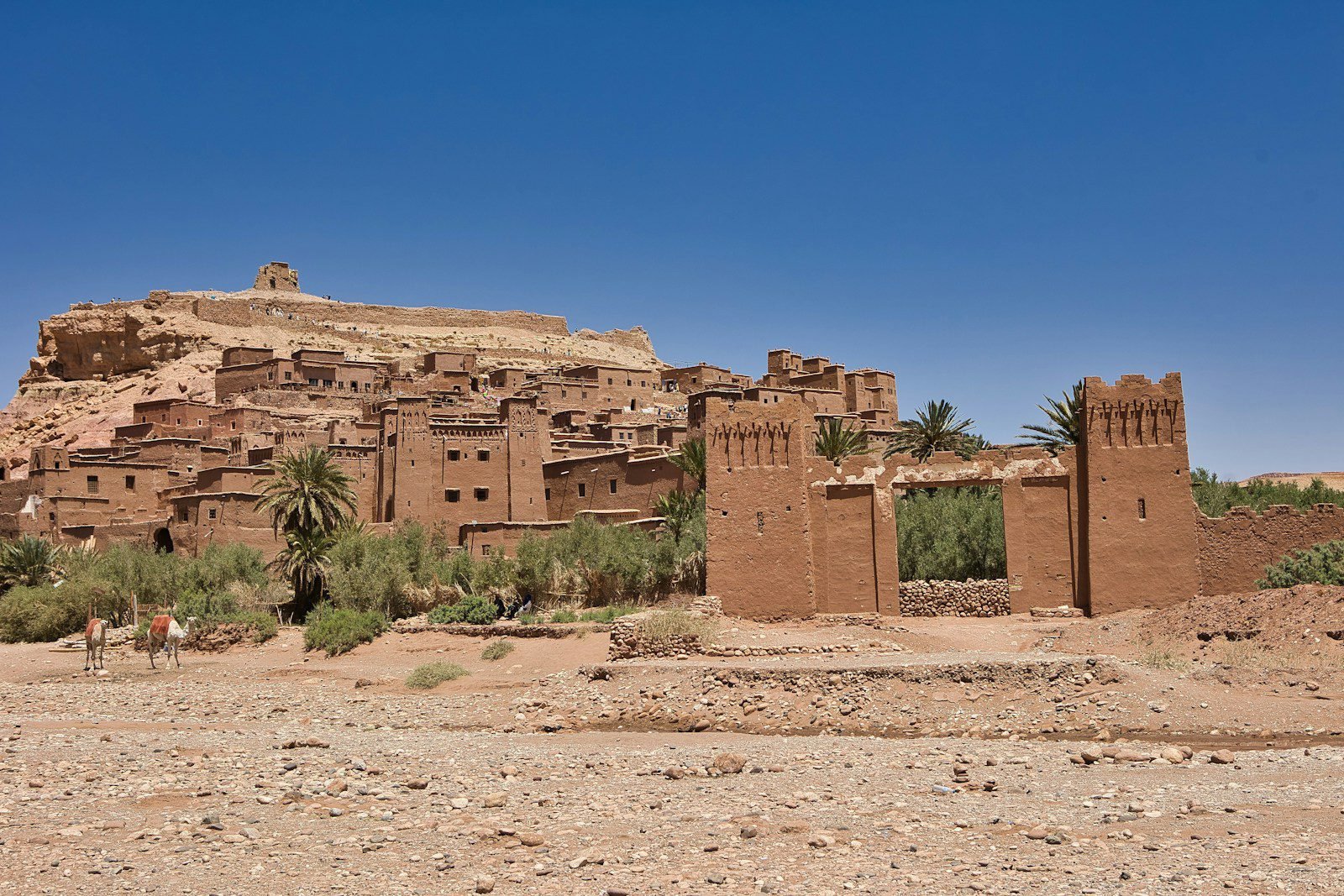 2 Days Tour from Ouarzazate to Merzouga Desert