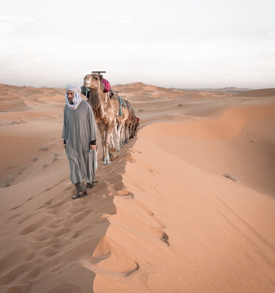 2 men walking on desert during daytime
