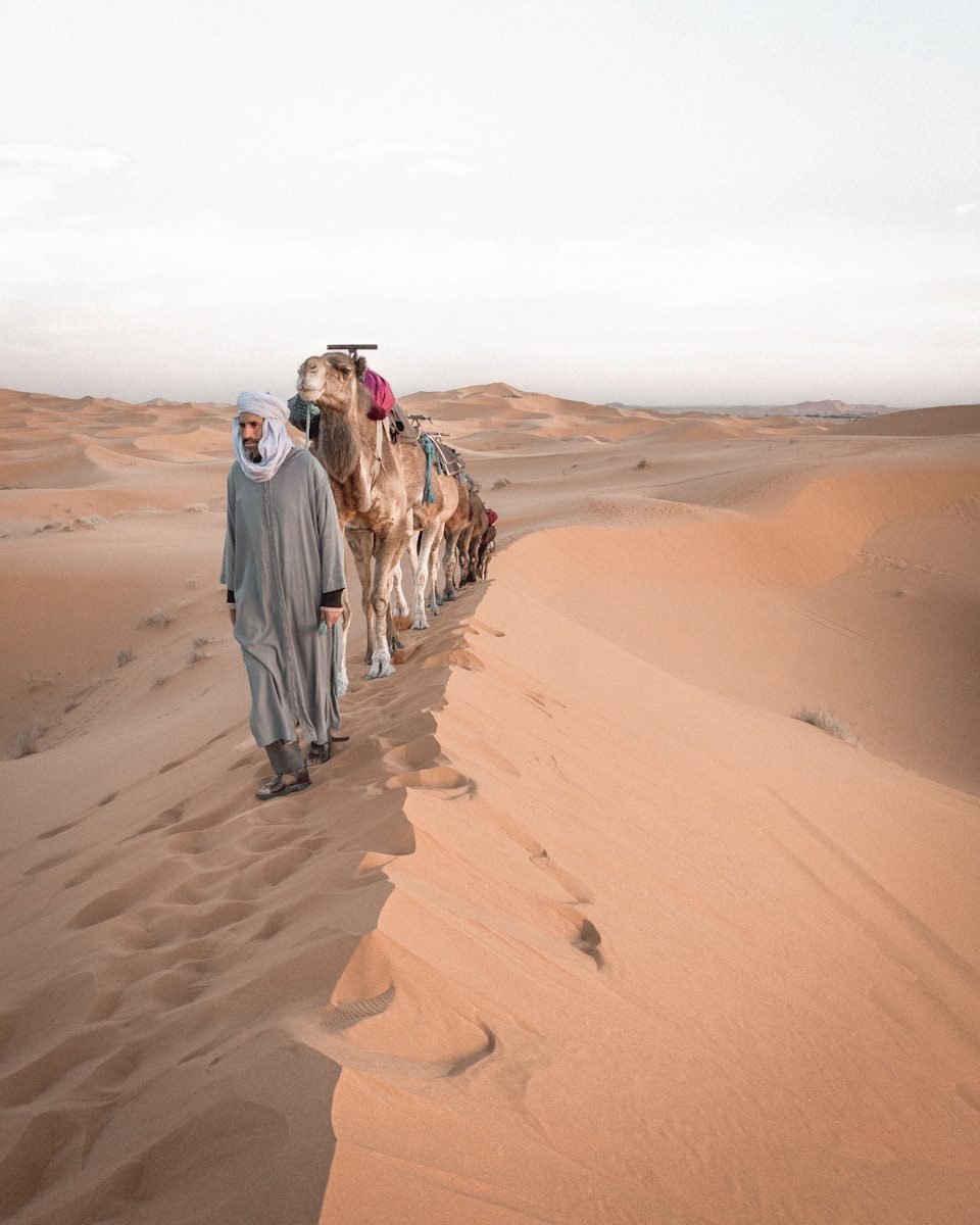 Top Morocco Tours