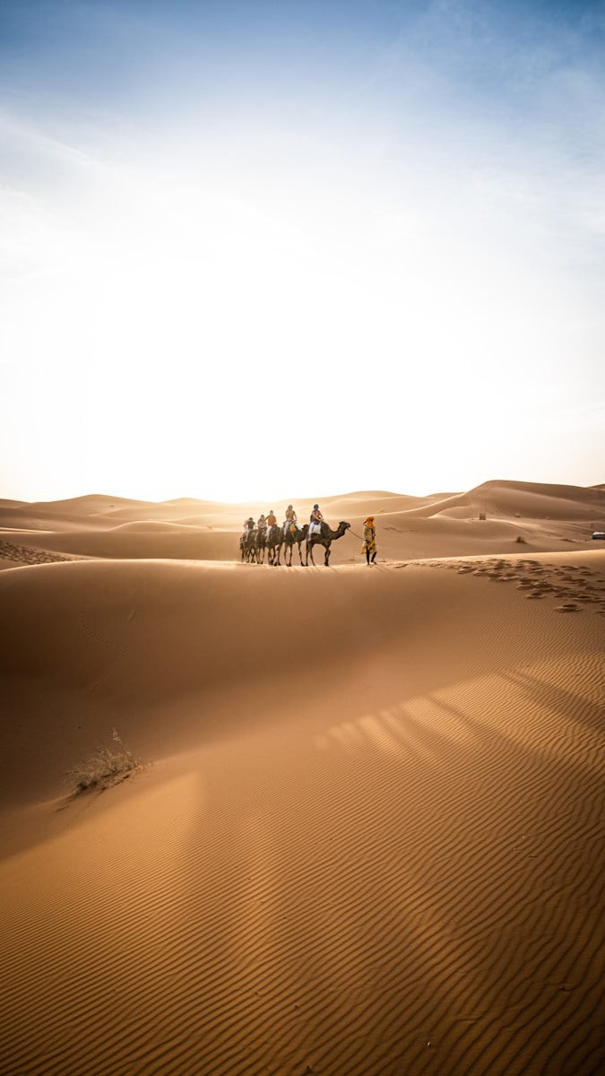 6 days tour from Casablanca to desert