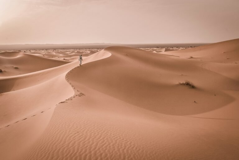 Morocco desert tour