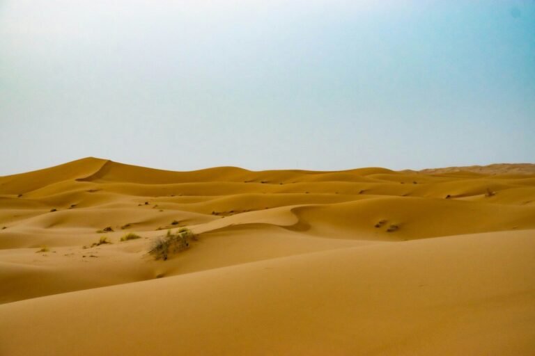 5 Days from Fes to Marrakech