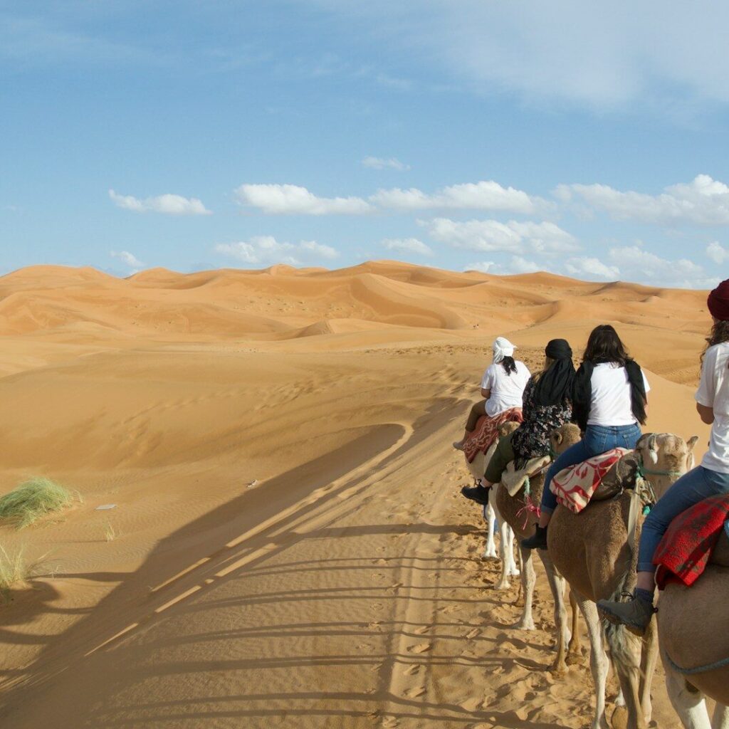 A group of people riding on the backs of camels