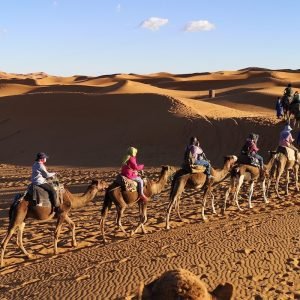 people riding camels on desert during daytime